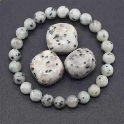 Willa - Inspiriert Kreativität und Emotionale Klarheit